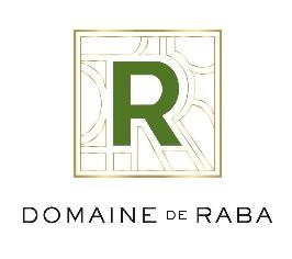 Domainederaba 1674052751